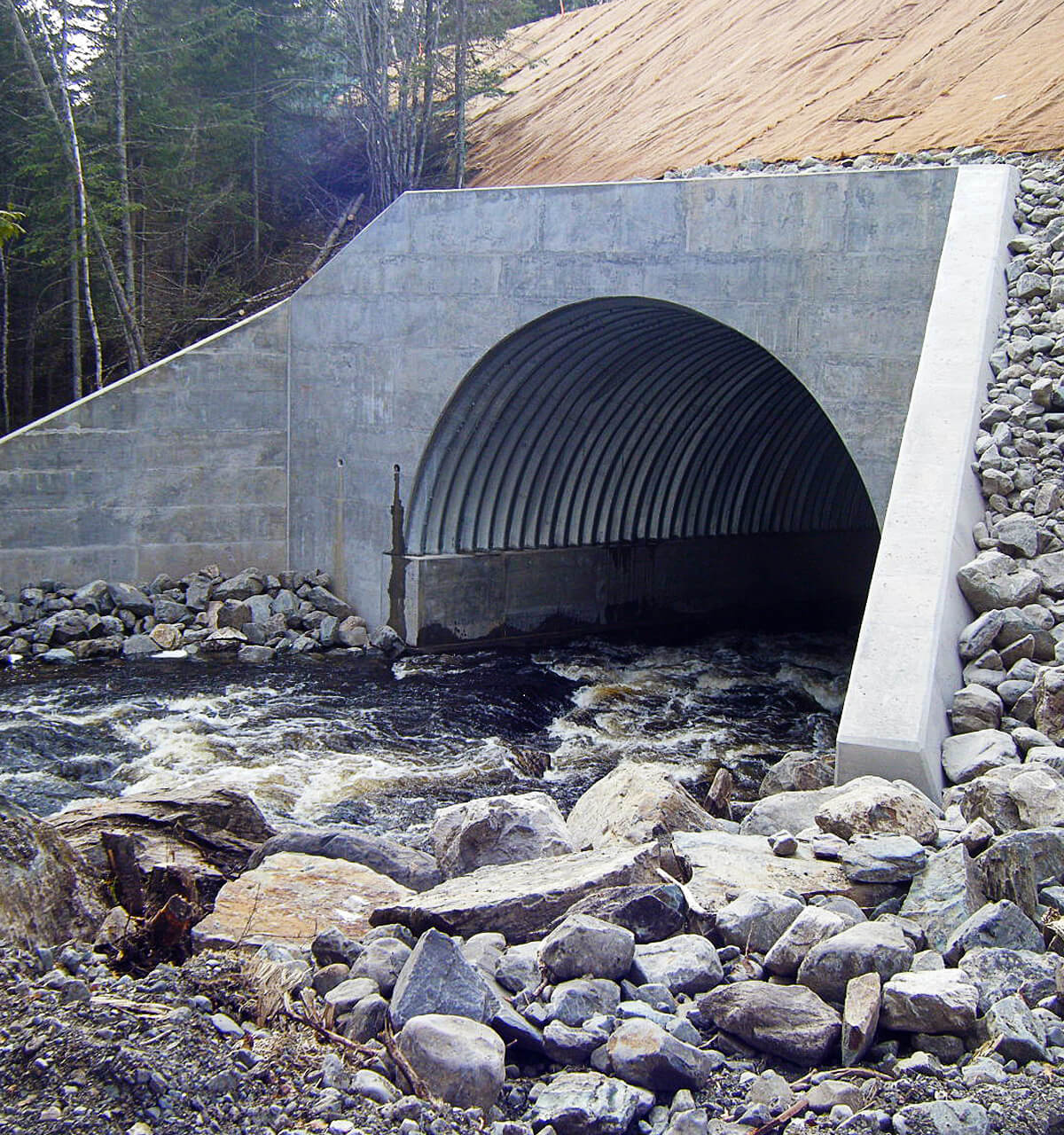 BRIDGE-PLATE®