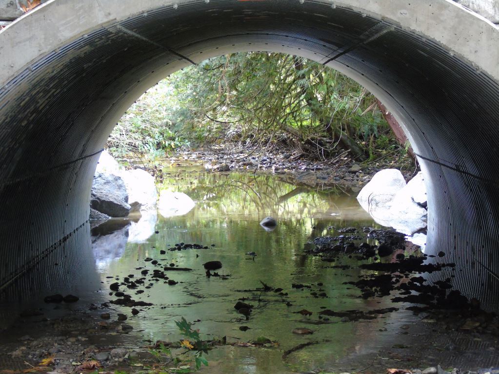 Armtec: West Creek, BC Multi Plate Crossing. Project Image 1